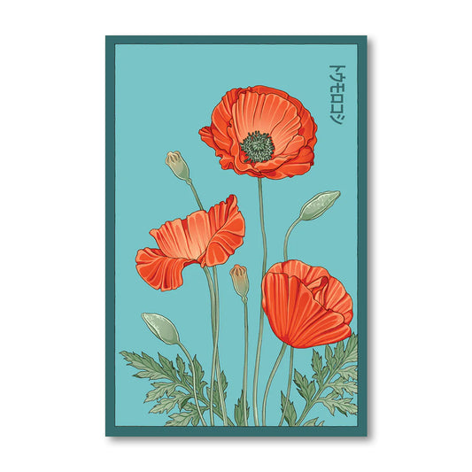 Shido Seeds gift view 2