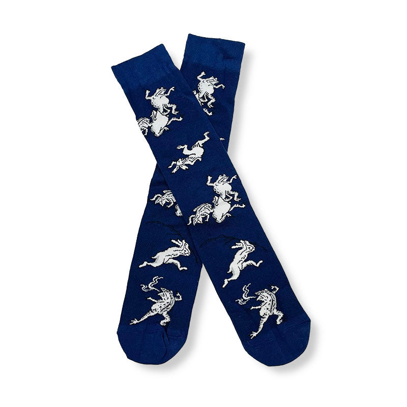 Choju-giga Socks accessories