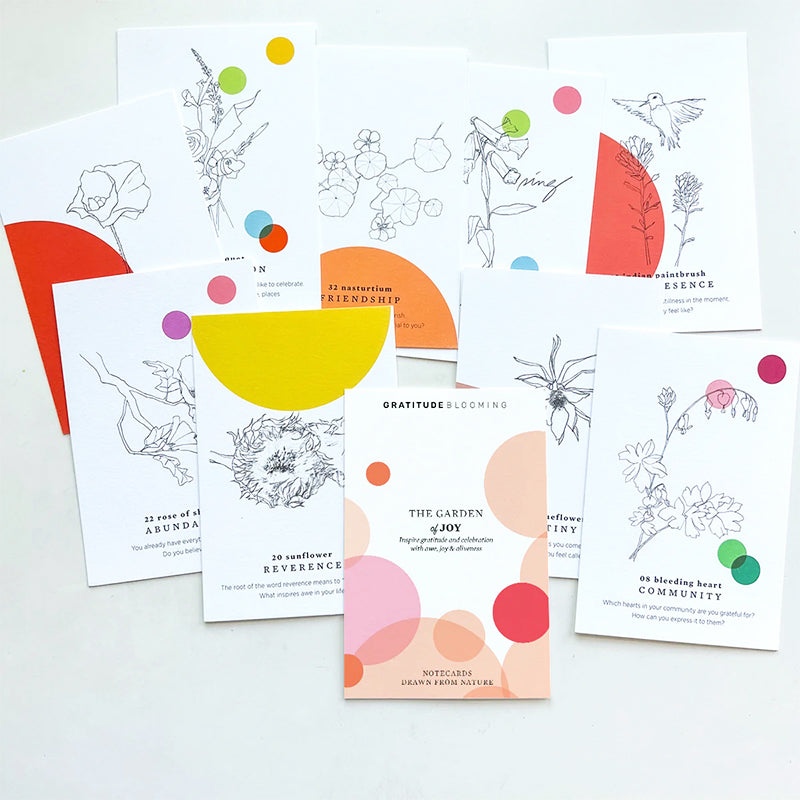 JOY Gratitude Blooming 10 Cards Democracy Center