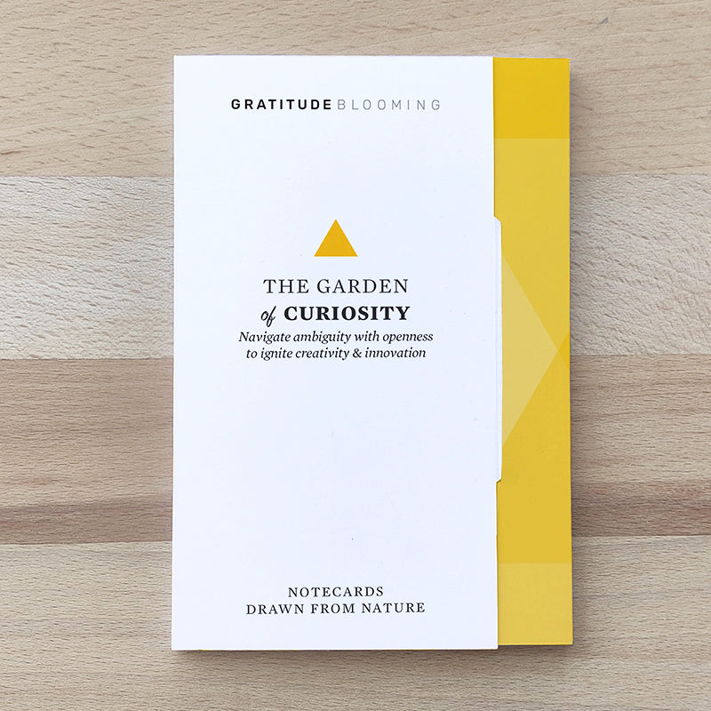 CURIOSITY Gratitude Blooming 10 Cards Democracy Center