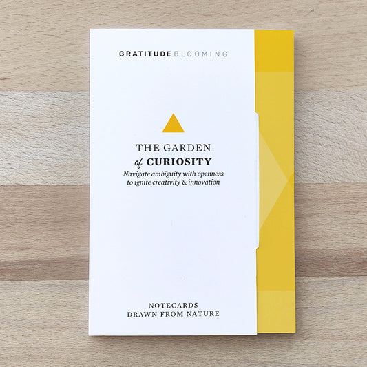 CURIOSITY Gratitude Blooming 10 Cards Democracy Center view 2