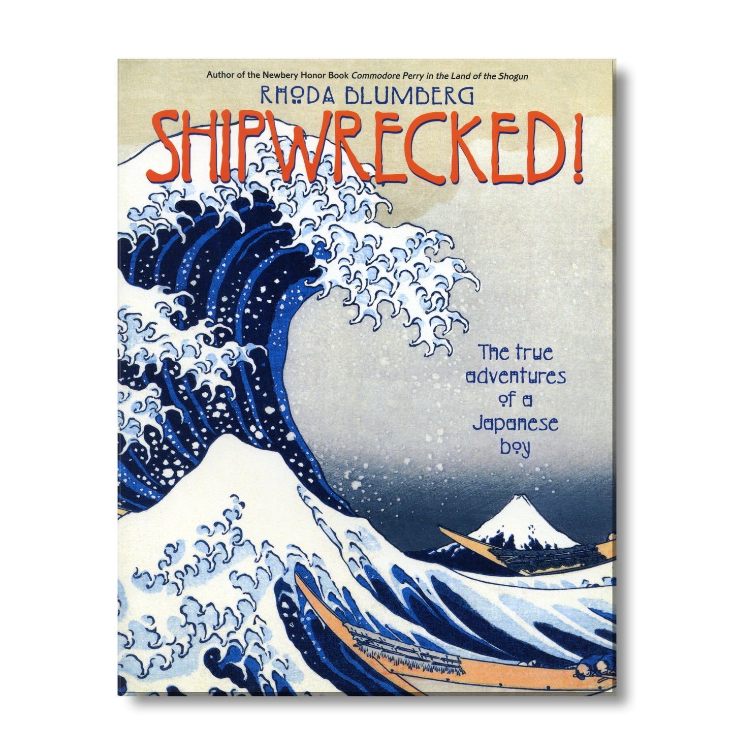 Shipwrecked! book