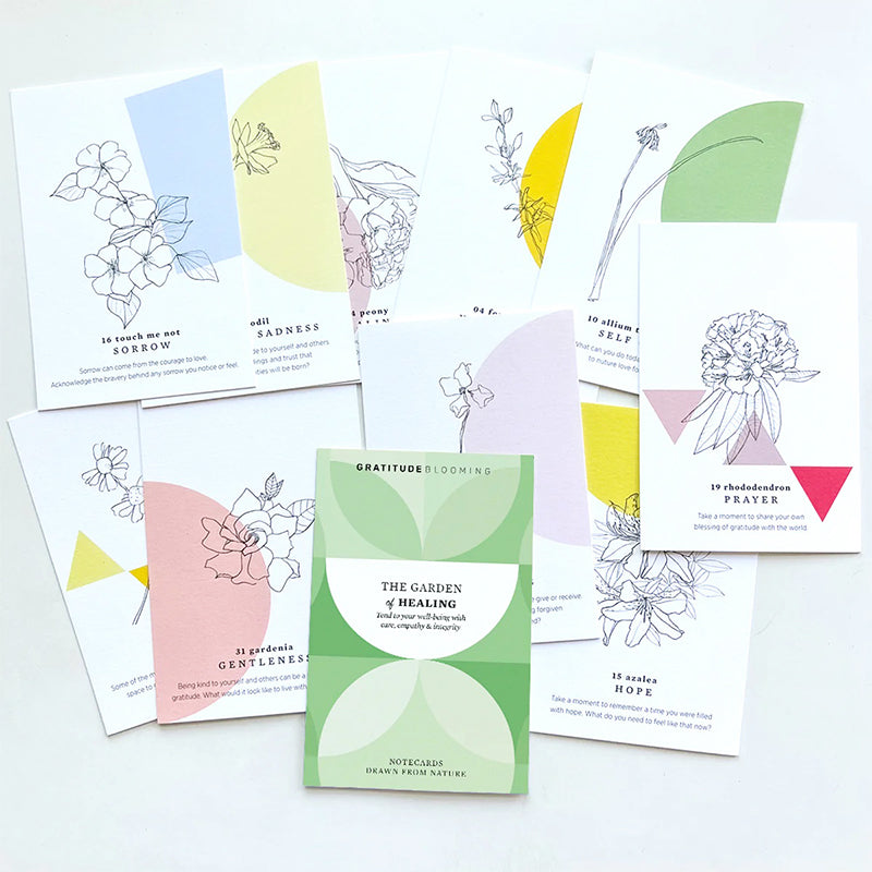 HEALING Gratitude Blooming 10 Cards Democracy Center