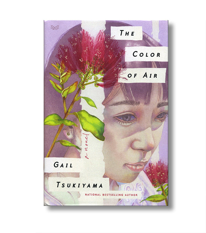 The Color of Air * book