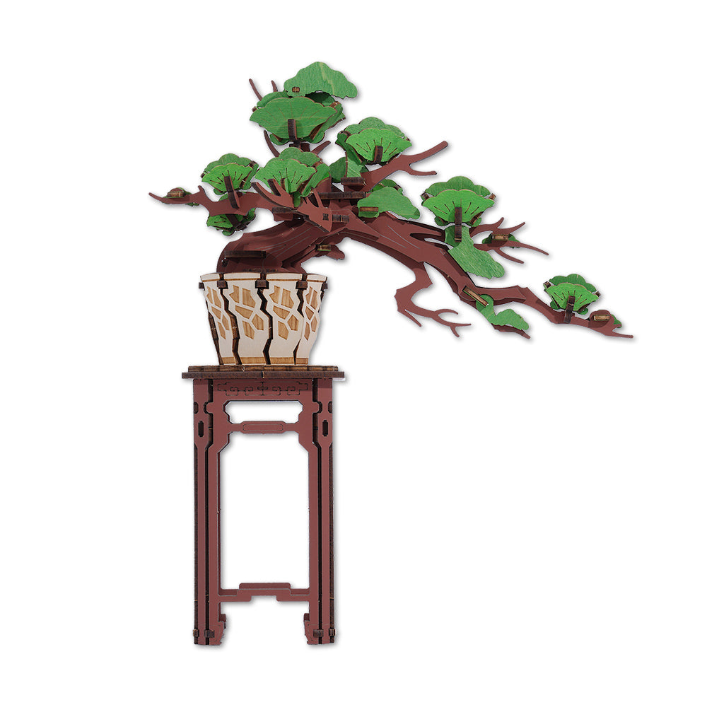 Pine Bonsai Craft Kit