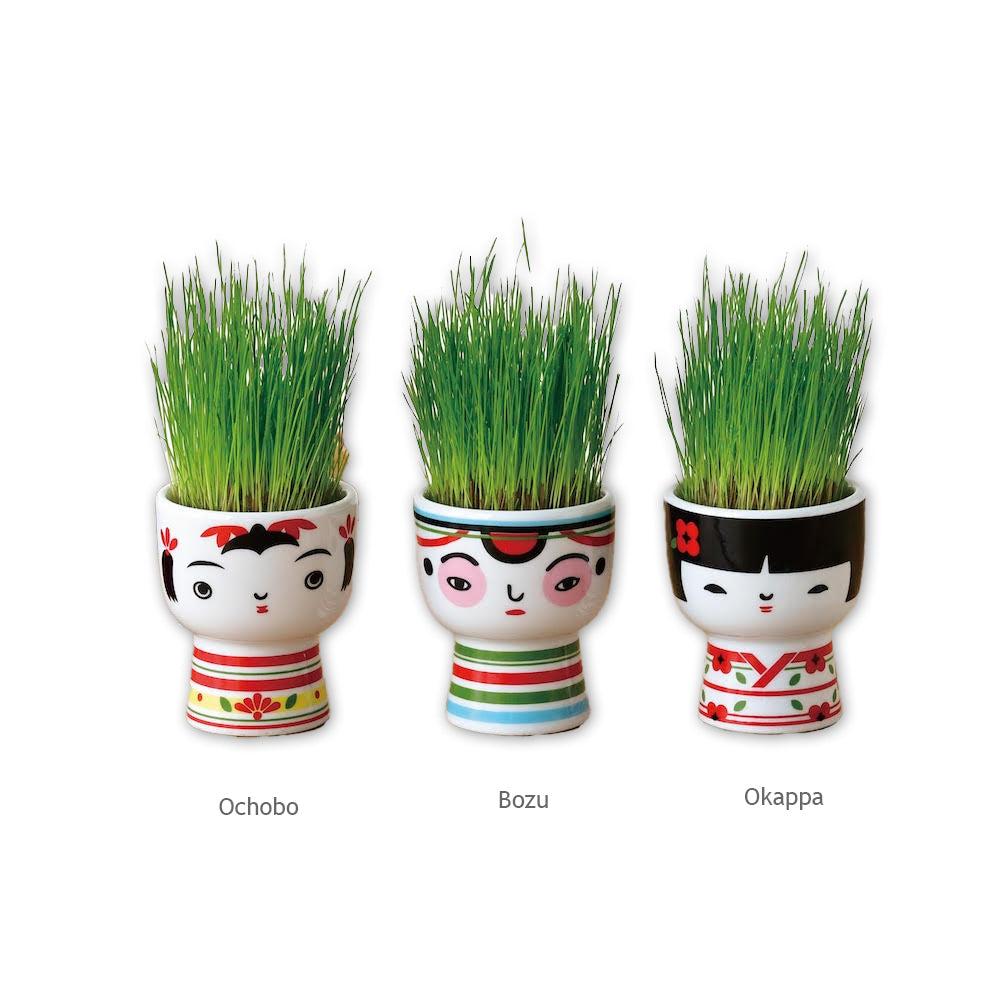 Kokeshi Green Grass Kit gift