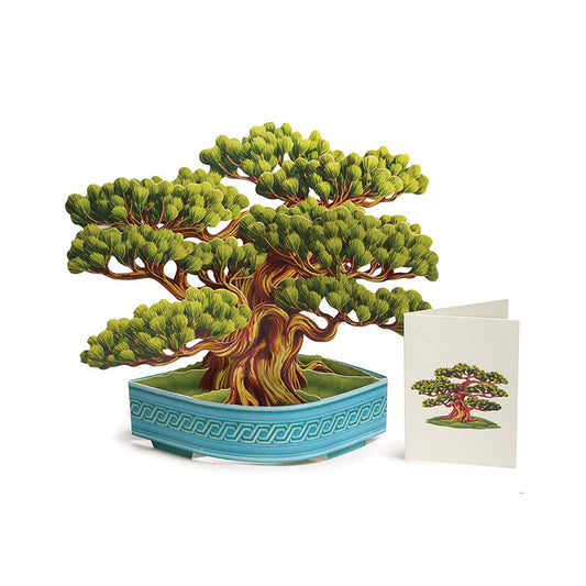 Bonsai Pop-up Card