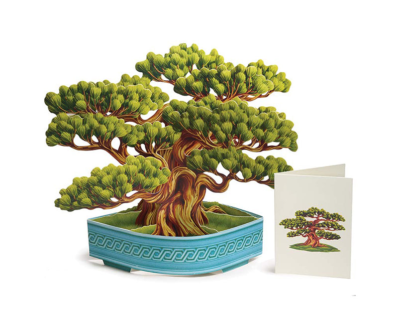 Paper cutout pop-up of a bonsai tree in a shallow dish next to a small note card with the same image of the tree.