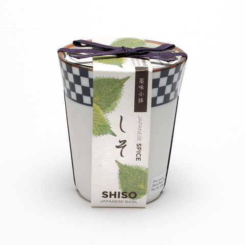 Shiso Growing Kit*